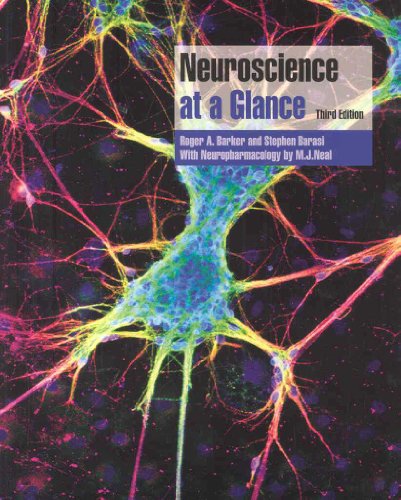 Neuroscience at a Glance
