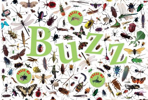 Buzz