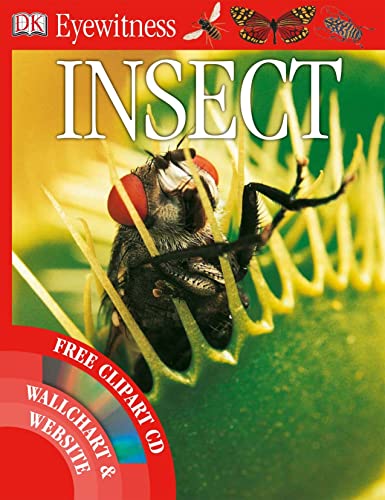Insect