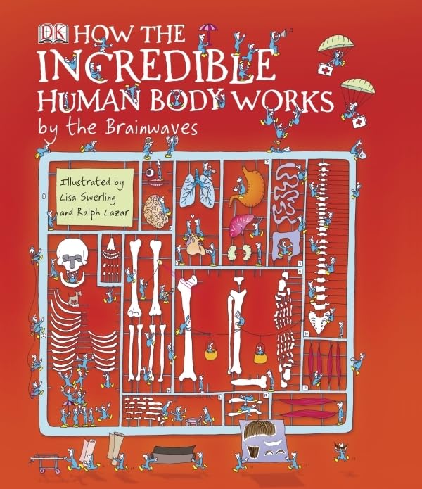 How the Incredible Human Body Works - by the Brainwaves