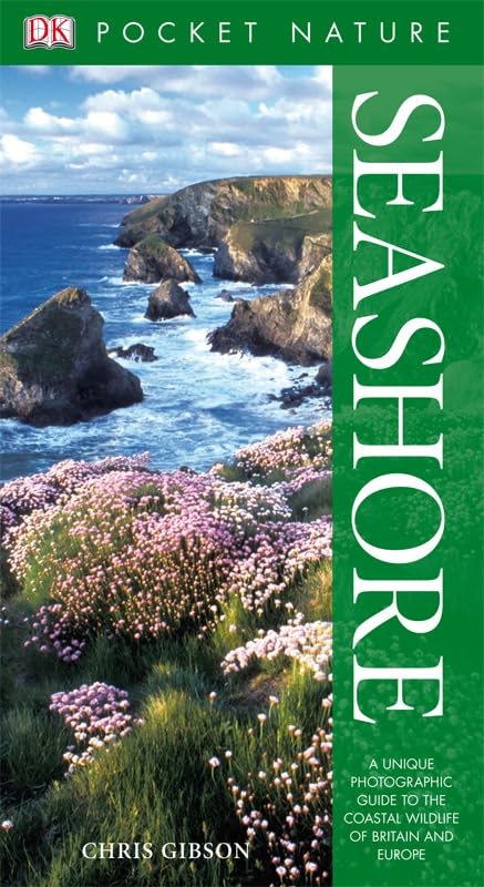Seashore