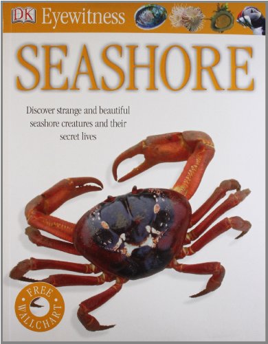 Seashore