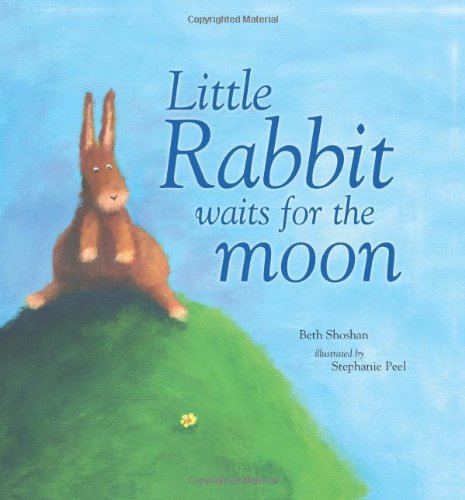 Little Rabbit Waits for the Moon (Meadowside Picture Books)