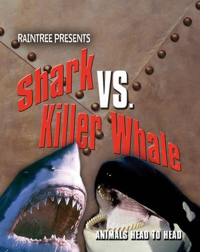Shark Versus Killer Whale
