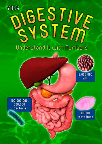 Your Digestive System