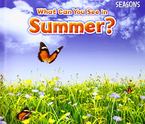 What Can You See In Summer?