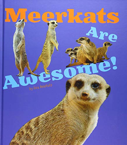 Meerkats Are Awesome!