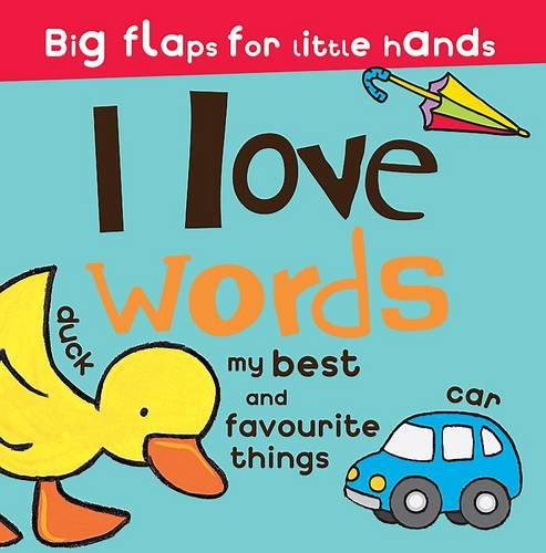 Great Big Lift the Flap
