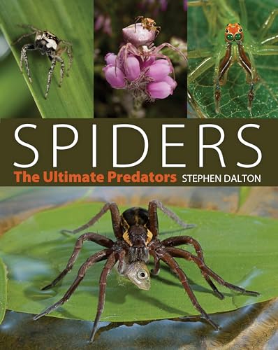 Spiders