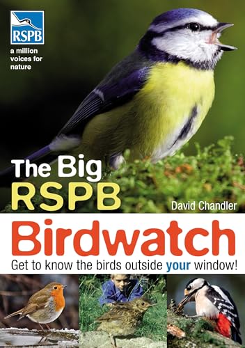 The Big RSPB Birdwatch