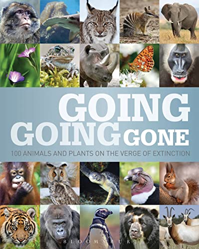 Going, Going, Gone