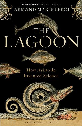 The Lagoon