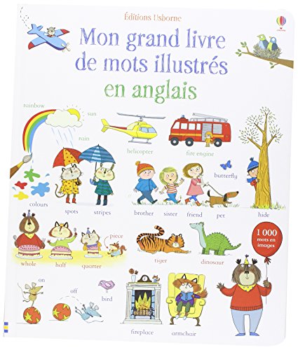 Mon grand livre de mots illustres en anglais