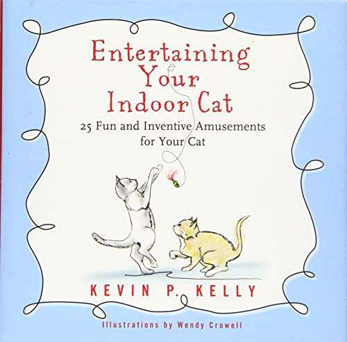 Entertaining Your Indoor Cat