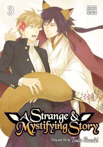 A Strange and Mystifying Story, Vol. 3