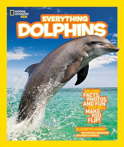 Everything Dolphins