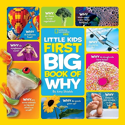 Little Kids First Big Book of Why