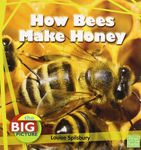 How Bees Make Honey