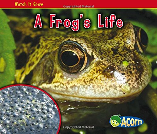 A Frog's Life