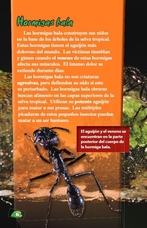 Incre ble pero real: Criaturas diminutas (Strange but True: Tiny Creatures) (Spanish Version)
