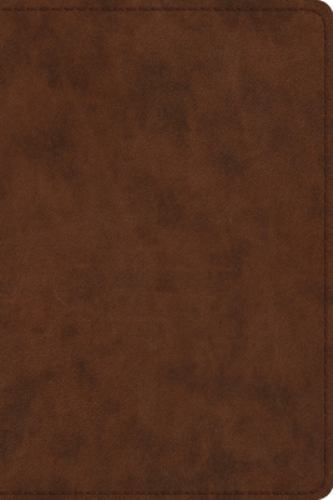 ESV Study Bible, Personal Size