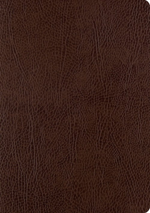 ESV Single Column Journaling Bible, Large Print