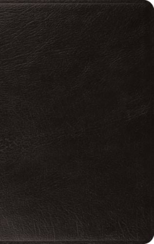 ESV Large Print Thinline Bible