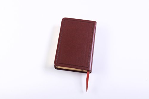 CSB Large Print Compact Reference Bible, Brown LeatherTouch