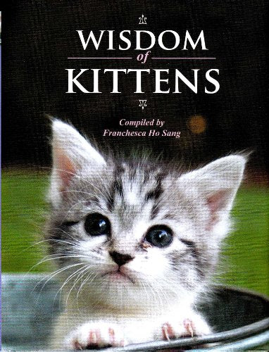 Wisdom of Kittens