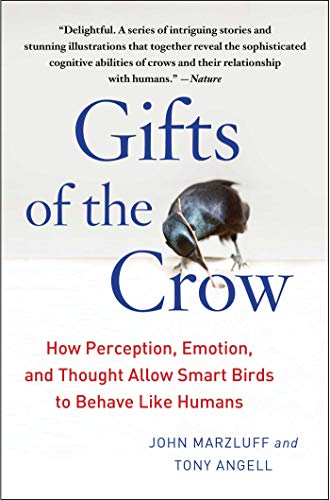 Gifts of the Crow