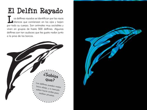Spanish Scratch & Sketch Wild Safari