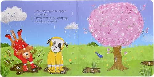 Peek-A-Bo - Rainbow Colors (a Lift-The-Flap Board Book)