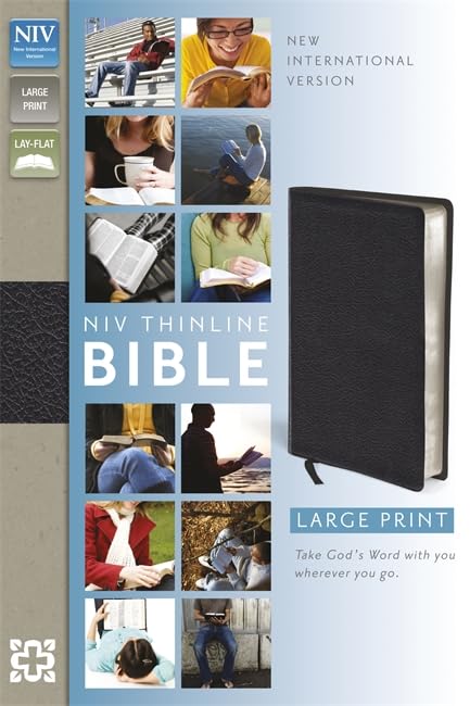 NIV Thinline Large Print Leather Bible
