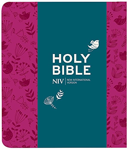 NIV Journalling Plum Soft-tone Bible with Clasp