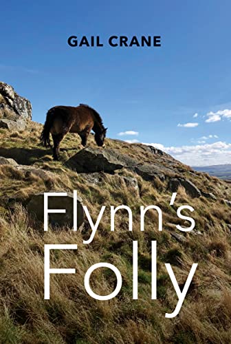 Flynn's Folly