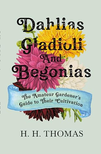 Dahlias, Gladioli and Begonias - The Amateur Gardener's Guide to Their Cultivation