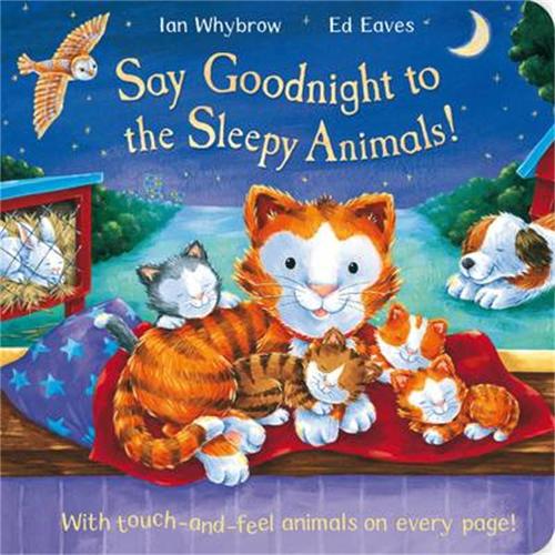 Say Goodnight to the Sleepy Animals