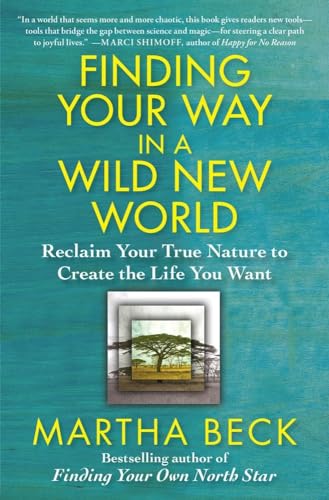 Finding Your Way in a Wild New World