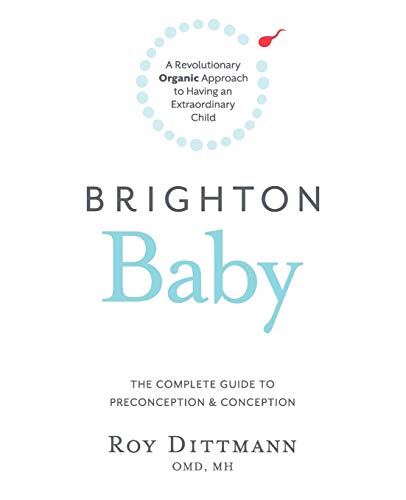 Brighton Baby a Revolutionary Organic Approach to Having an Extraordinary Child