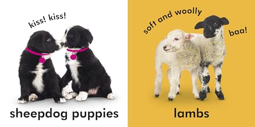 Baby Touch and Feel Farm Friends
