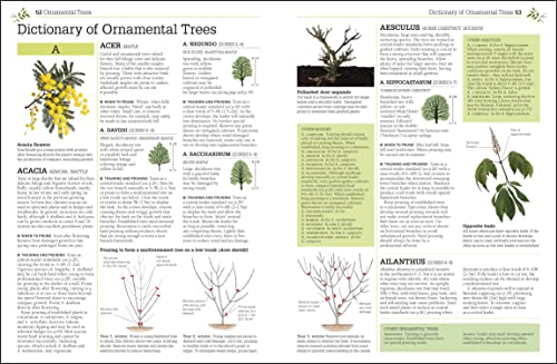 Pruning and Training, Revised New Edition