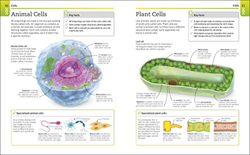 Super Simple Biology