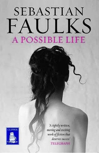 A Possible Life (Large Print Edition)