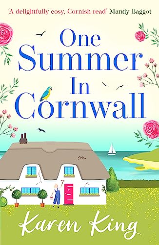 One Summer in Cornwall