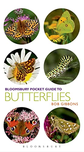 Pocket Guide to Butterflies