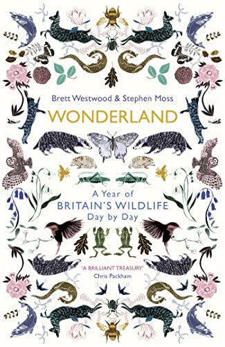 Wonderland