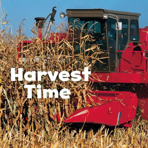 Harvest Time