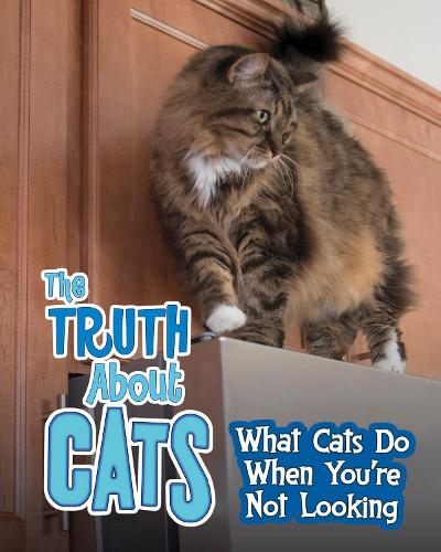 The Truth about Cats