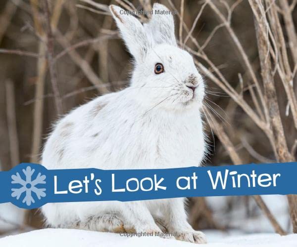Let's Look at Winter