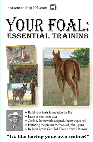 Your Foal